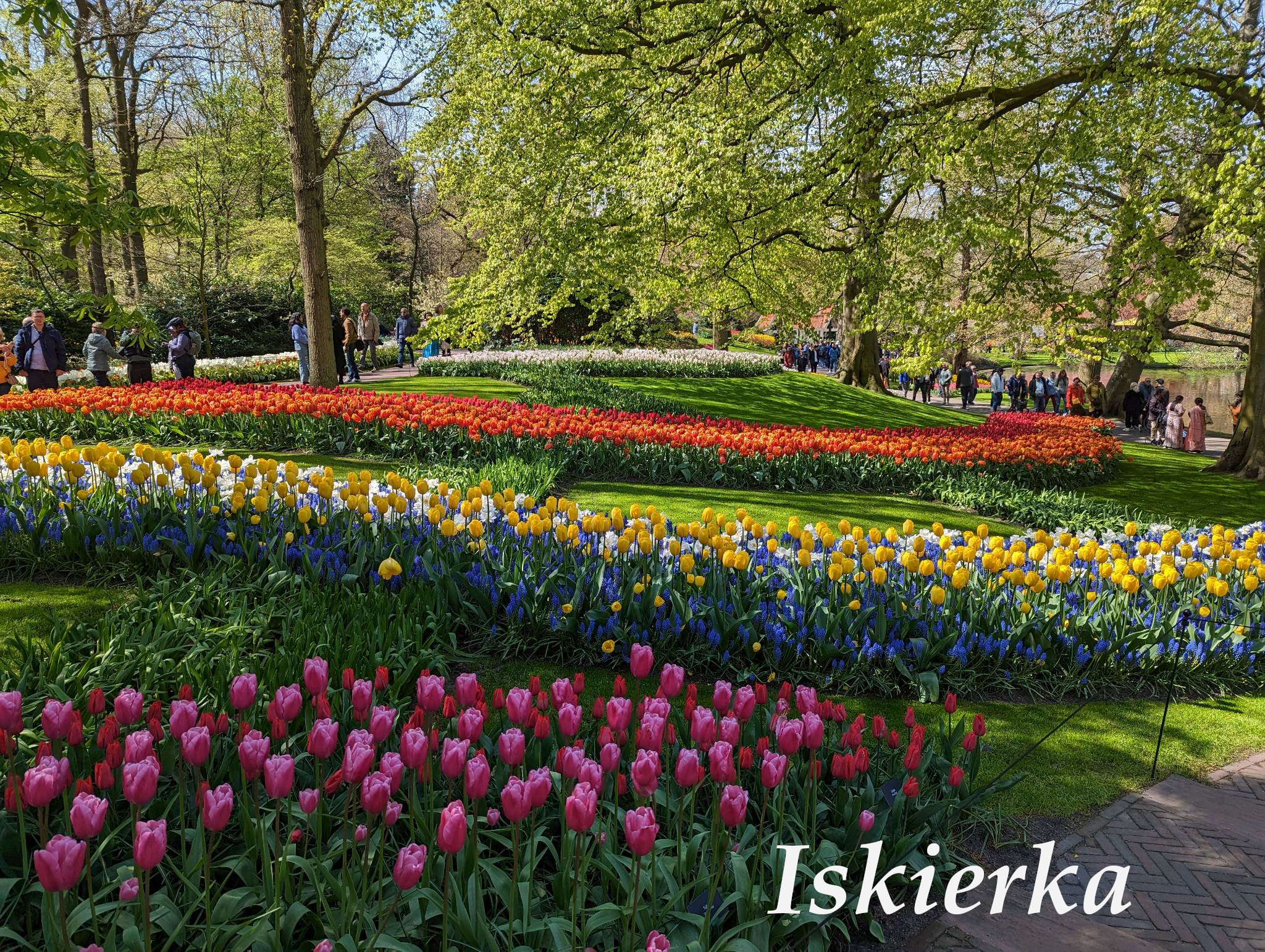 340420529_918908076032932_970932056311340464_n