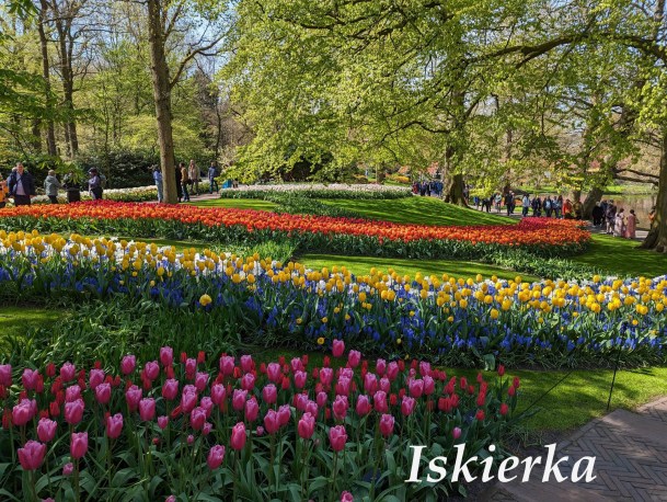 340420529_918908076032932_970932056311340464_n