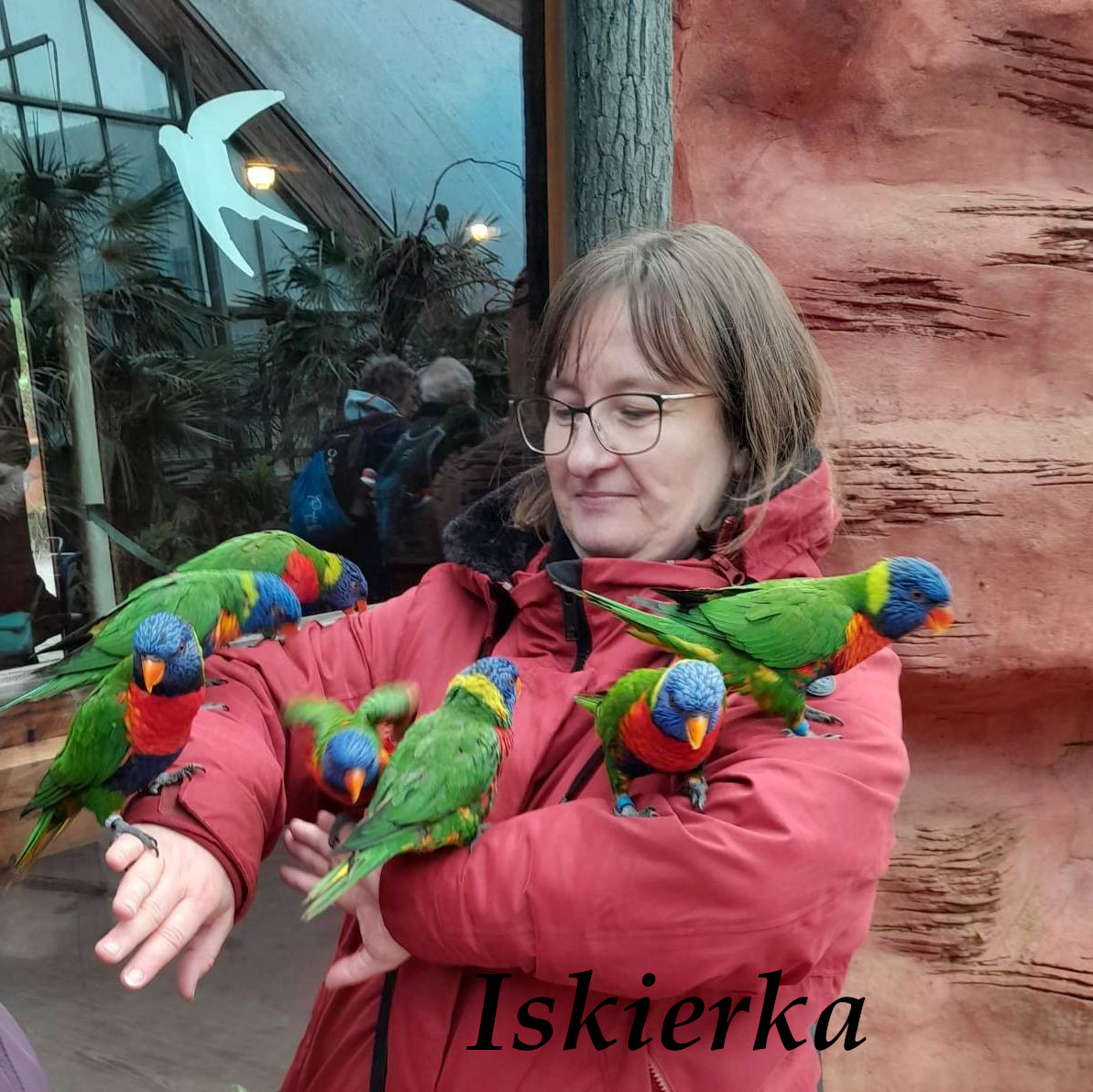 343249668_465079415804650_369406920646072295_n