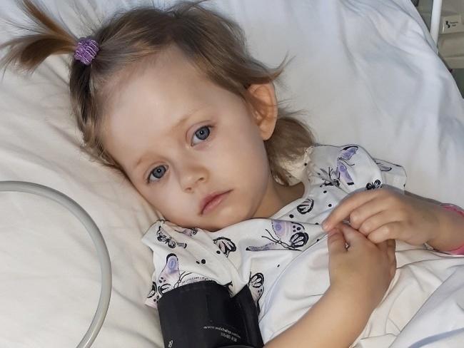 big_8b4462c6-05b3-4c5d-be6b-3843244375f5